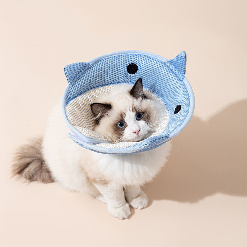 Soft Elizabethan Collar