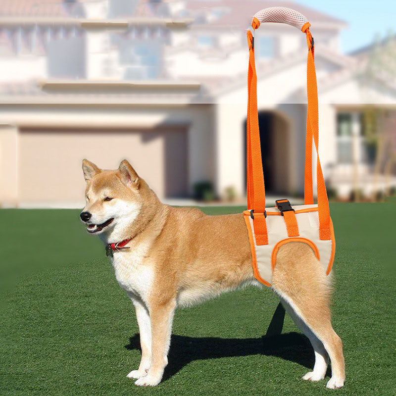 Adjustable Legs Pet Support