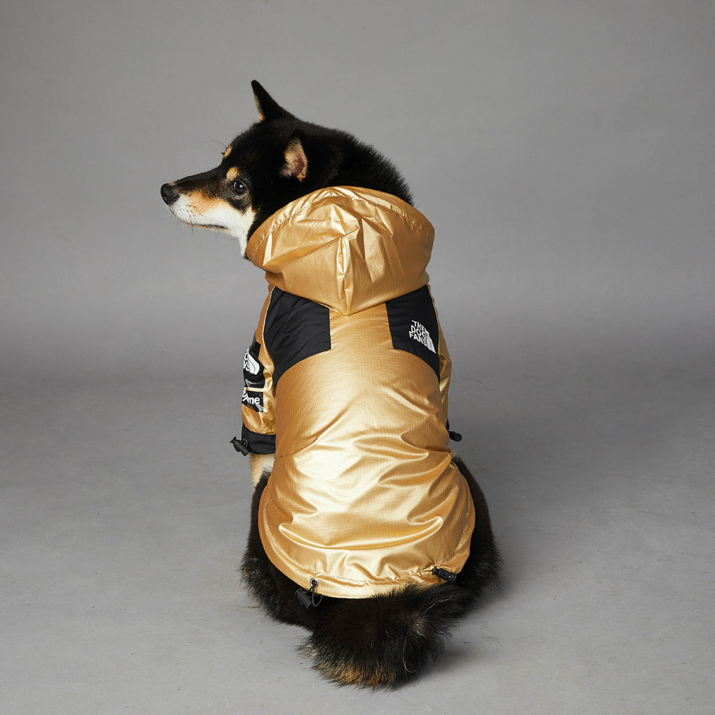 Dog  Jacket