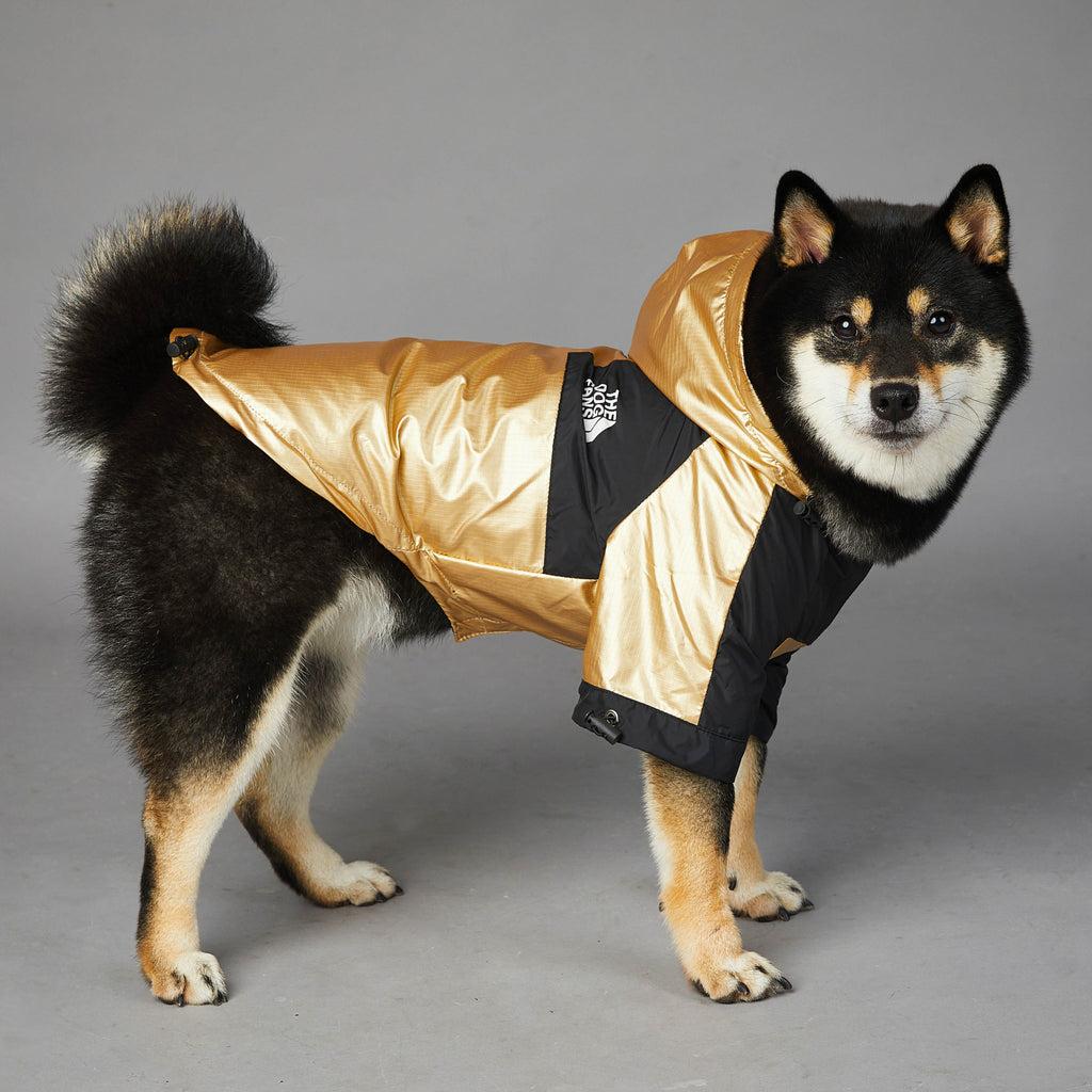 Dog  Jacket