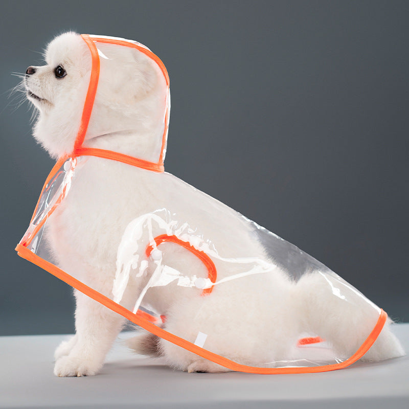 The stylish Raincoat