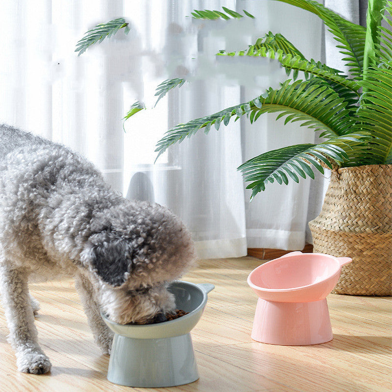 Oblique Pet food Bowl
