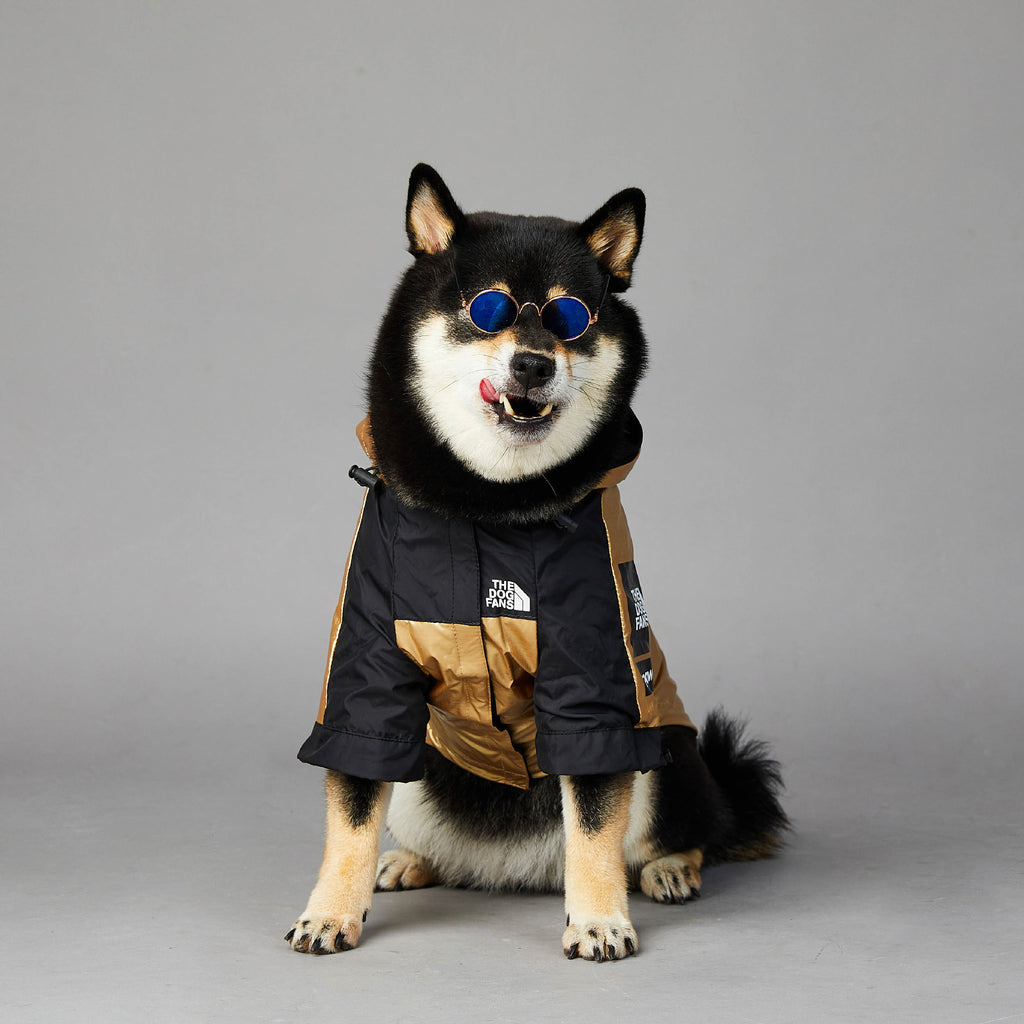 Dog  Jacket