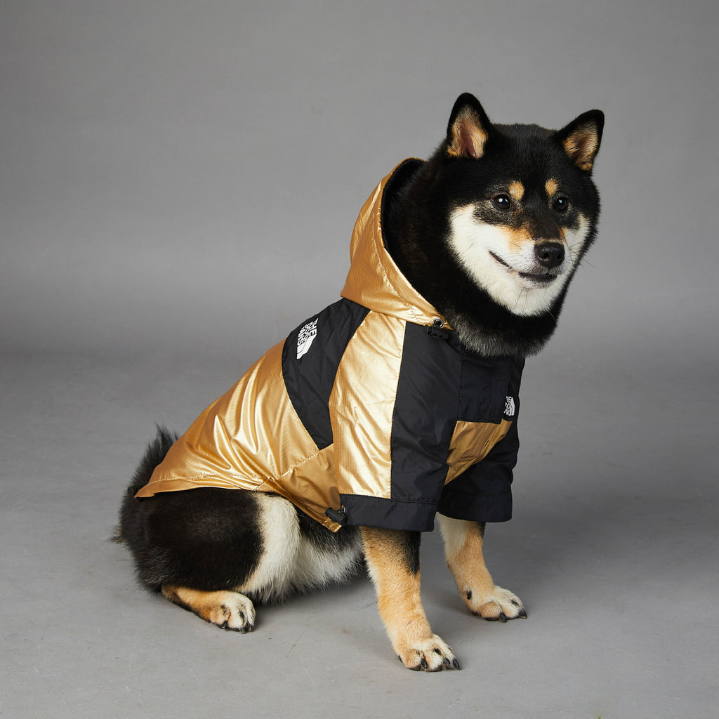 Dog  Jacket