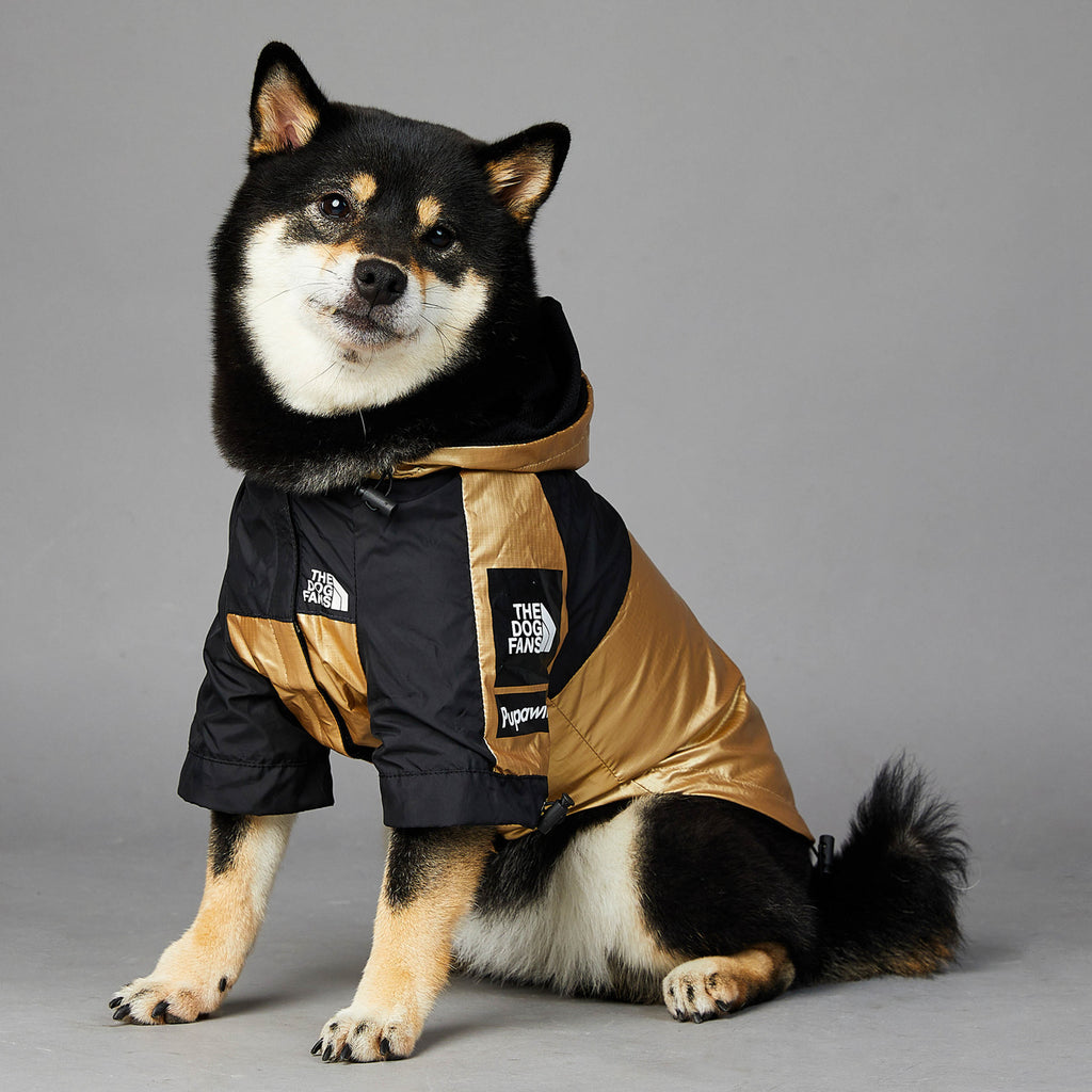 Dog  Jacket