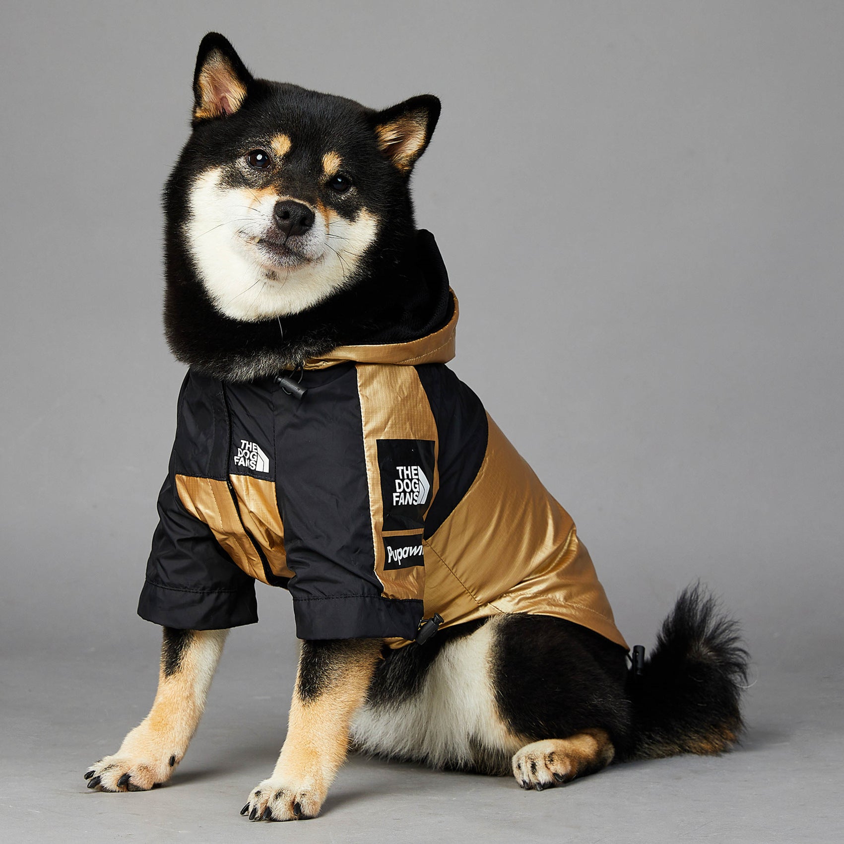 Dog  Jacket