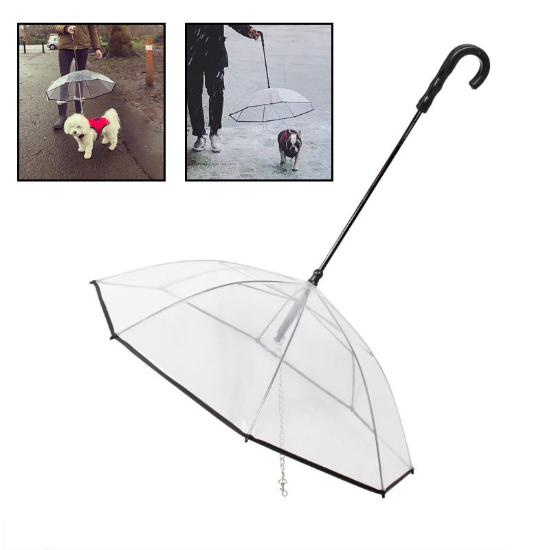 Best Umbrella