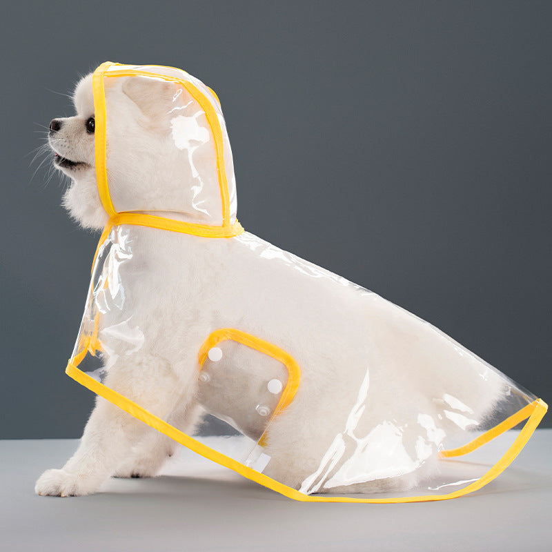 The stylish Raincoat