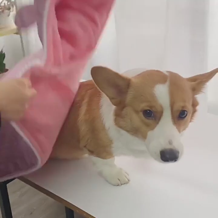 Dog Cotton Quilt Cloak