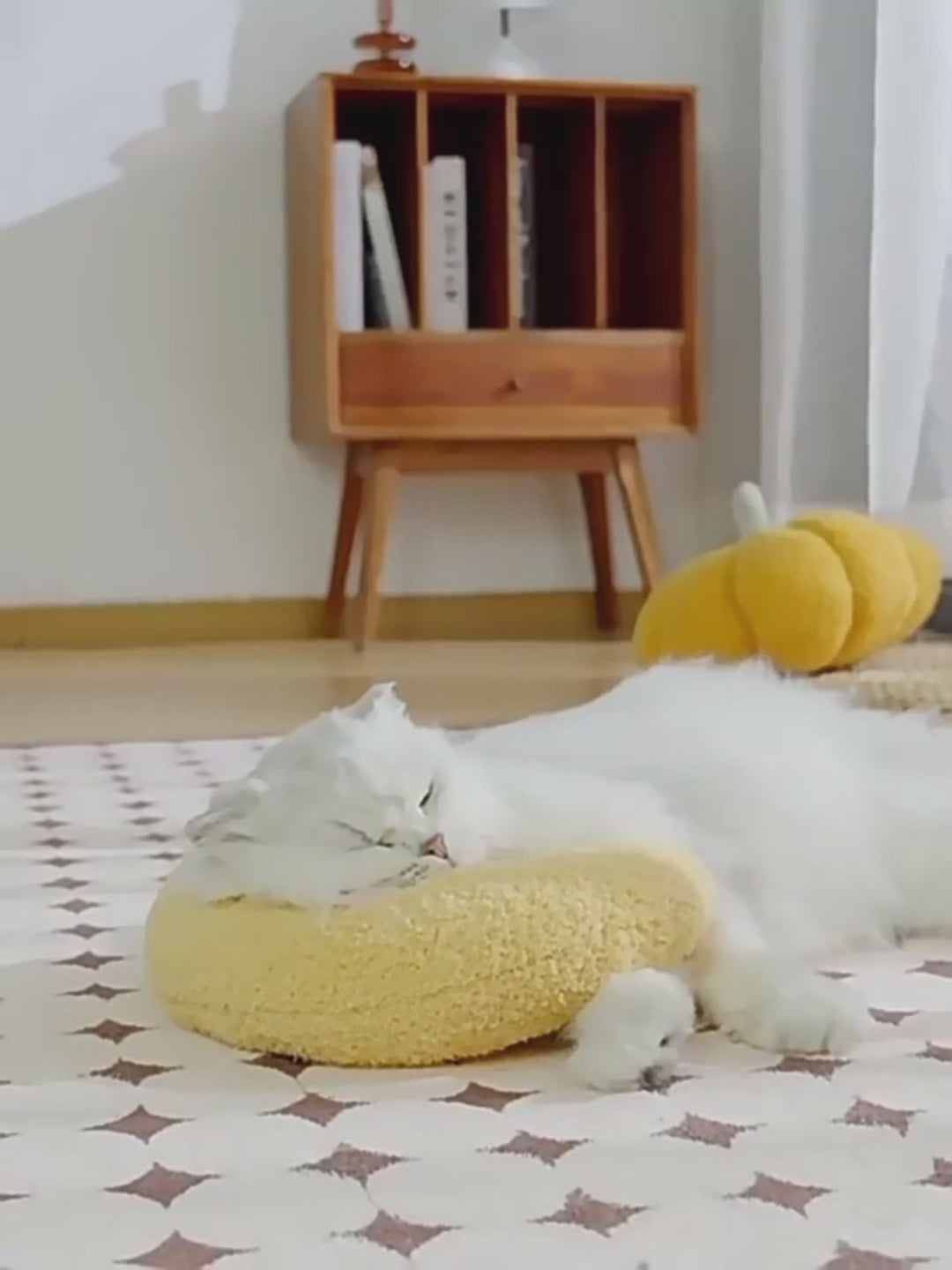 Little Pillow For Kitten & Puppies